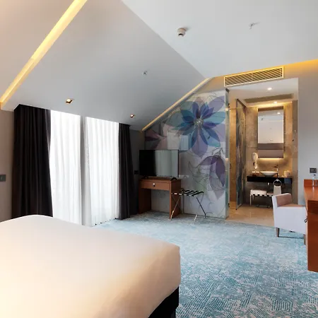 酒店 Ibis Styles Atasehir